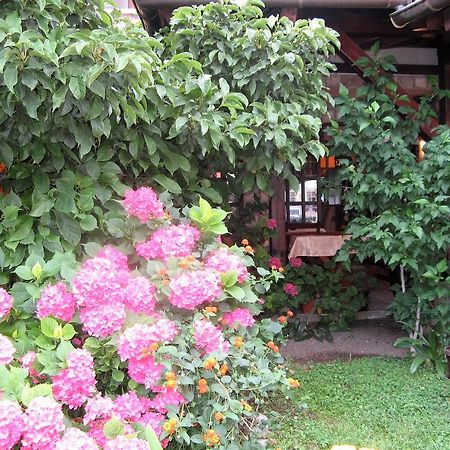 Guest House Zlatibor Будва Экстерьер фото
