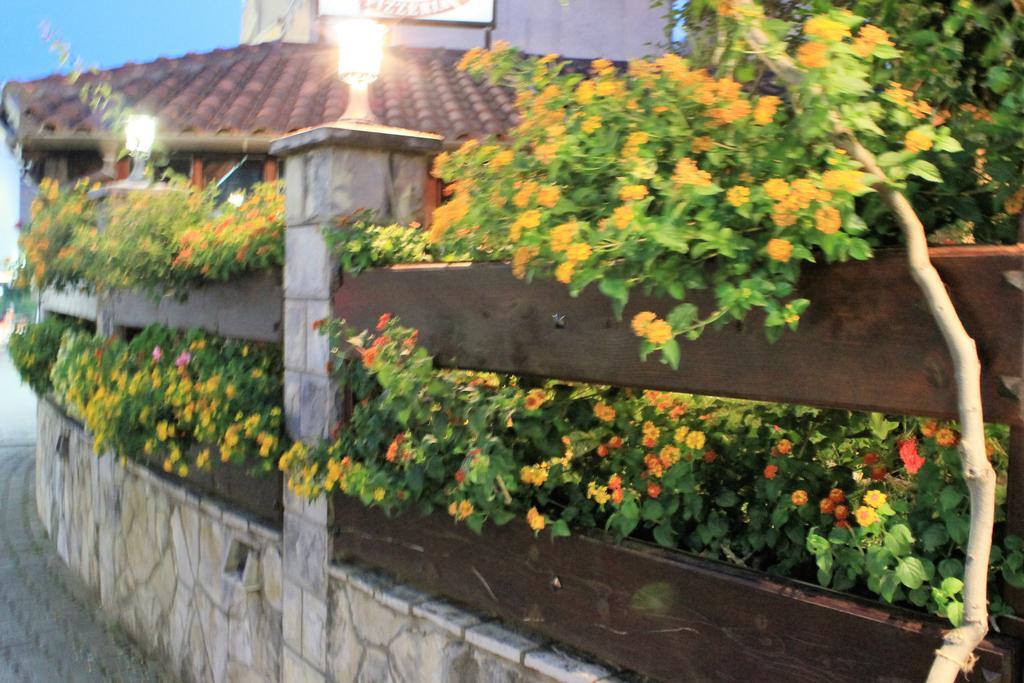 Guest House Zlatibor Будва Экстерьер фото